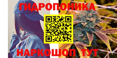 гидропоника Гусь-Хрустальный