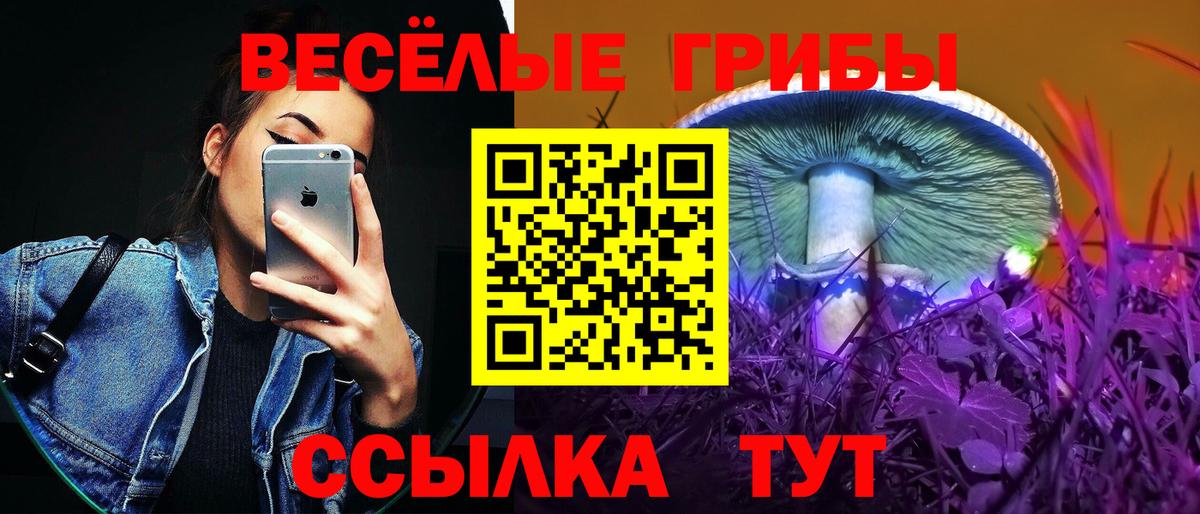 Галлюциногенные грибы мухоморы  Вход с VPN  Трёхгорный 