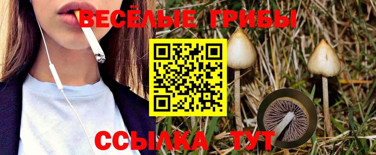 Псилоцибиновые грибы прущие грибы Трёхгорный